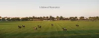 grand_polo_launch_presentation-8